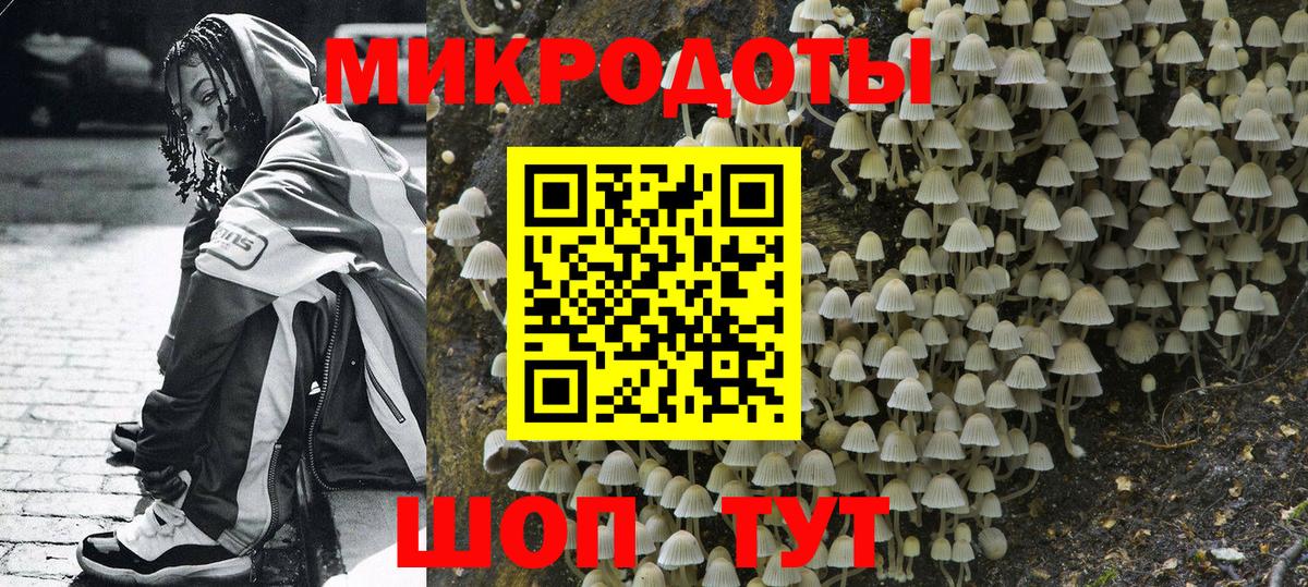 Псилоцибиновые грибы мицелий Ступино